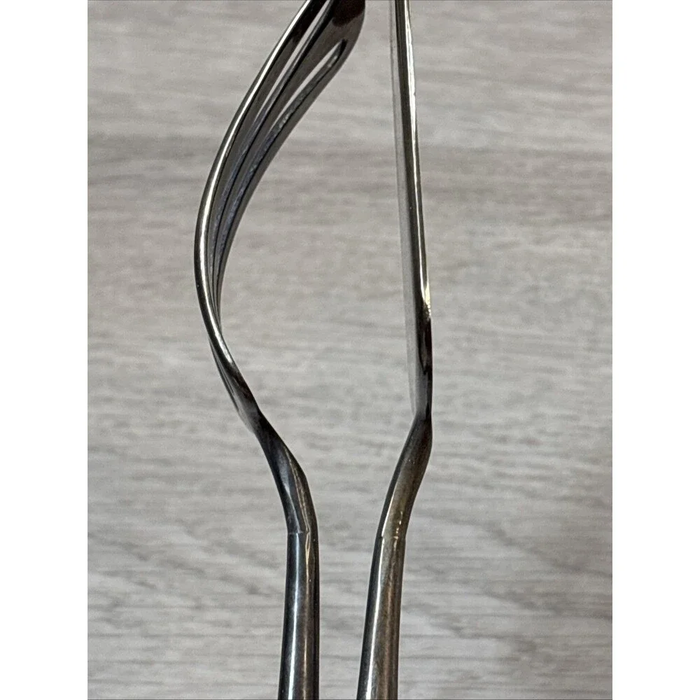 Vintage Taunton Italy Silver-plated Cake Pie Server – Shell Scroll Handle 10”